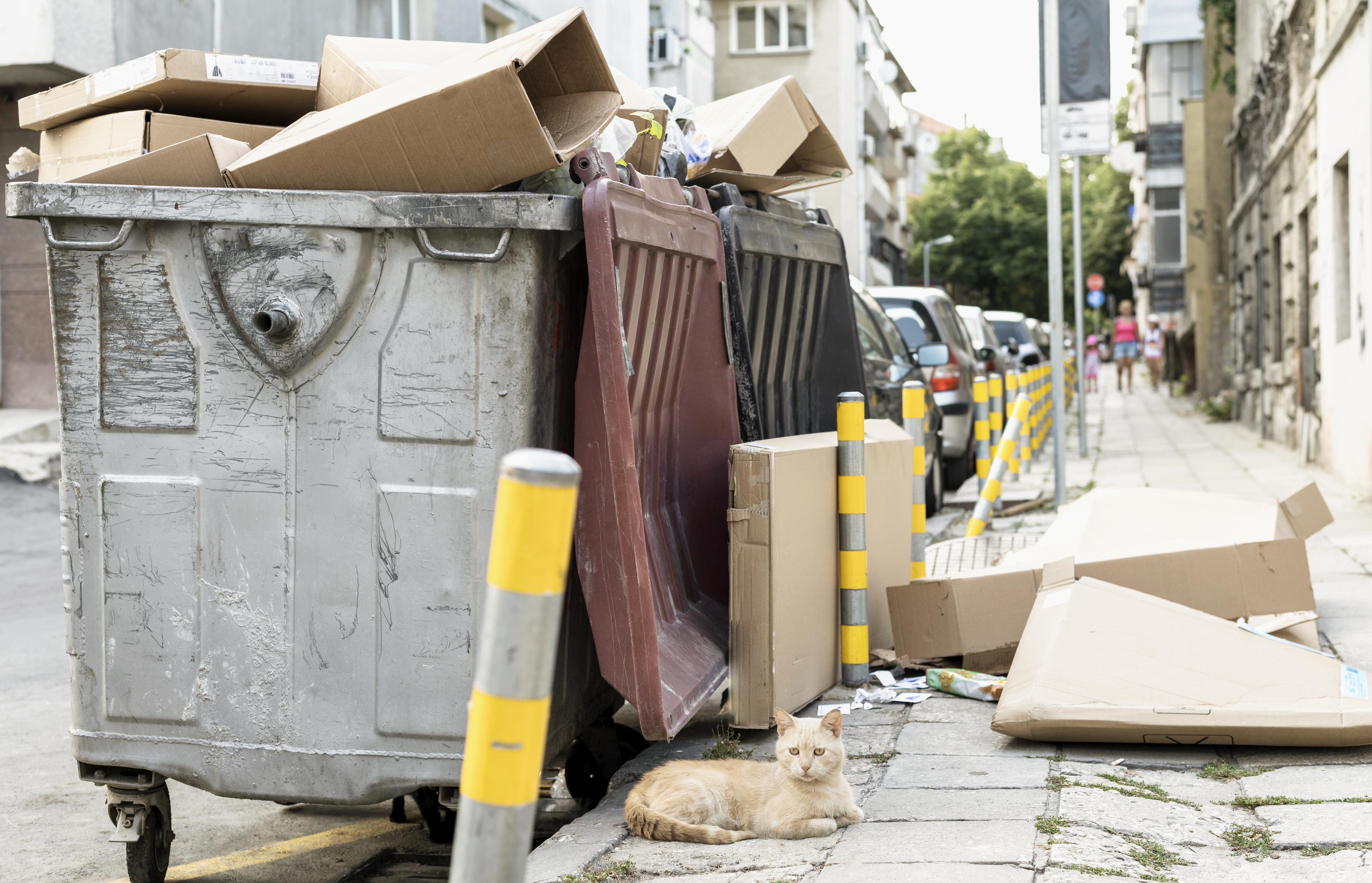 How Waste Carriers Can Prepare for the 2026 Digital Waste Mandate